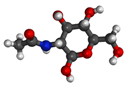 Acétyl Glucosamine